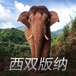东一控！2017年的今天，沃尔送出生涯最高的20次助攻
